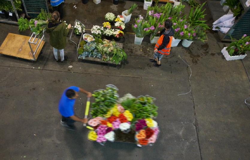 Guide to Sydney Flower Market Sydney Markets Sydney Markets